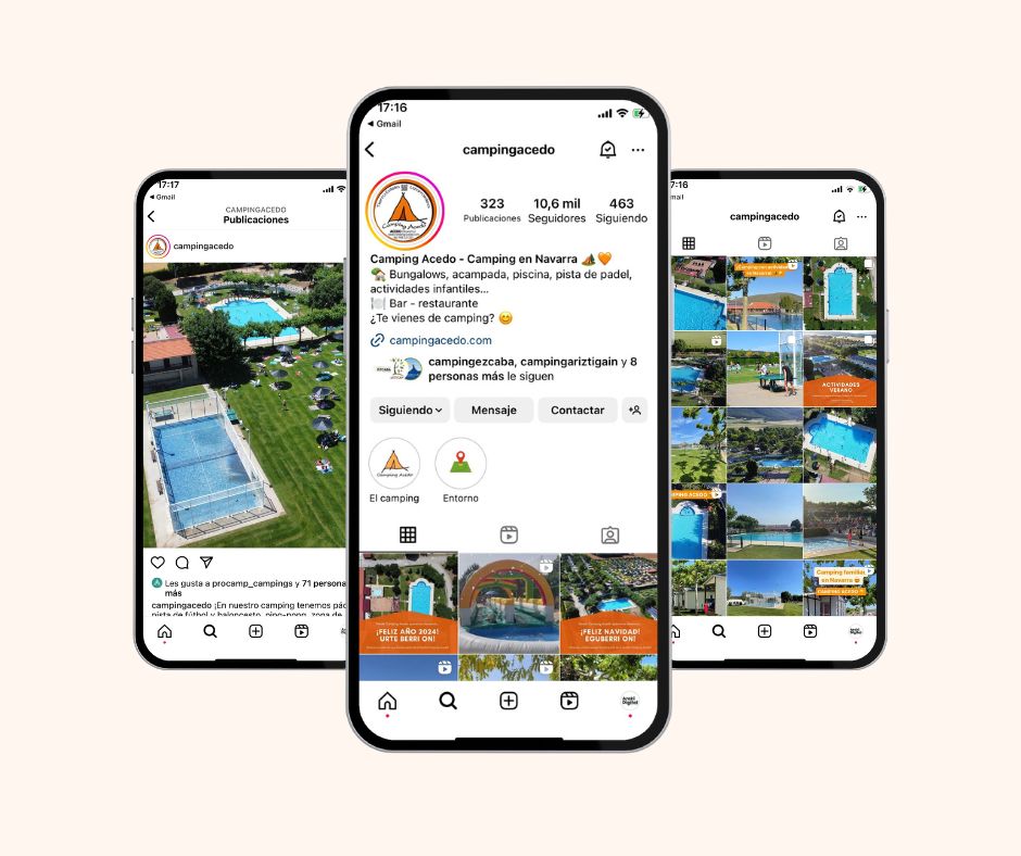 diseño web camping acedo