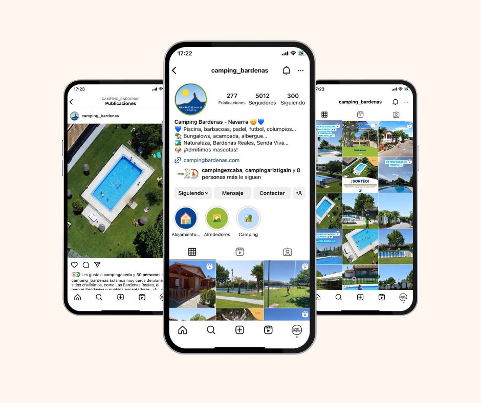 diseño web camping bardenas